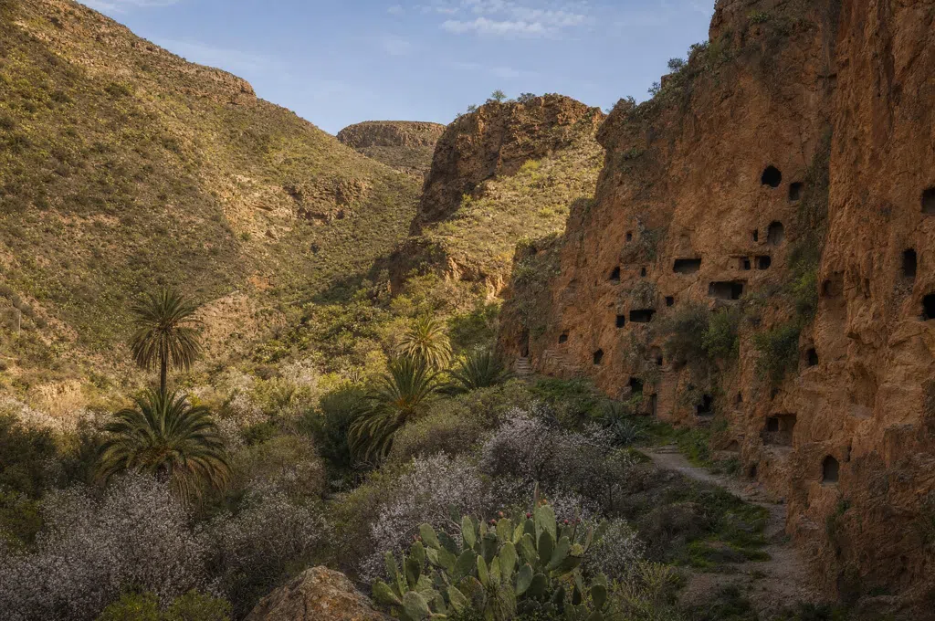 Barranco de Guayadeque-kløften på Gran Canaria