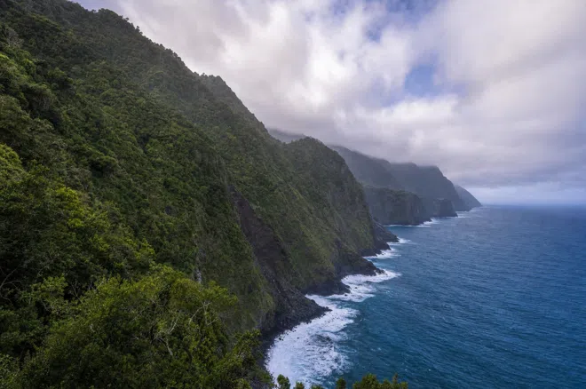Green sea cliffs of La Palma's north coast at Barlovento