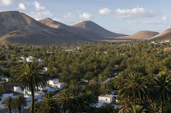Valley of a Thousand Palms at Haría, Lanzarote