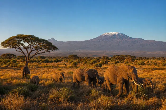 Tanzania