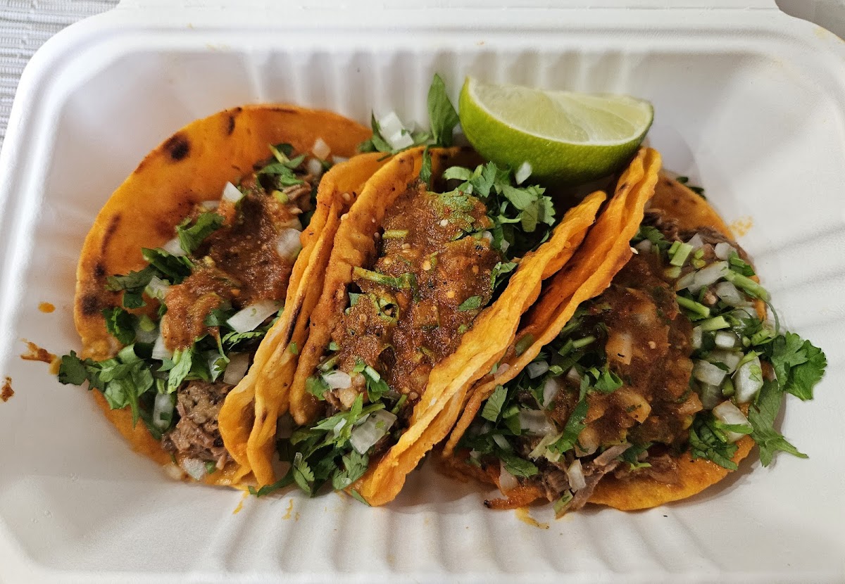 Birria Landia — photo 2