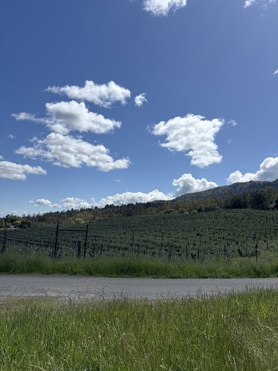 Napa & Sonoma Valley