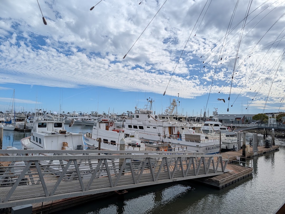Mitch's Seafood — photo 4
