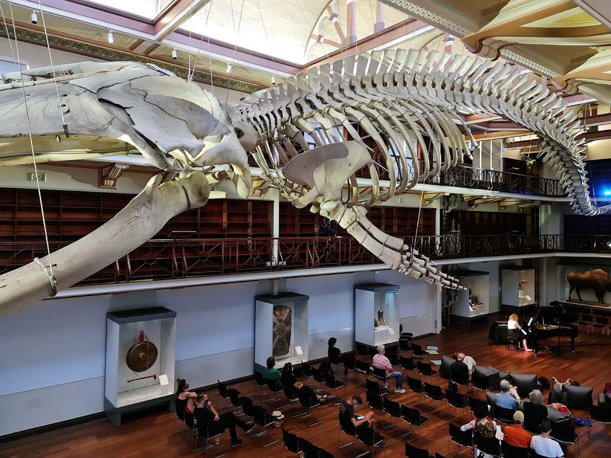 WA Museum Boola Bardip, Perth