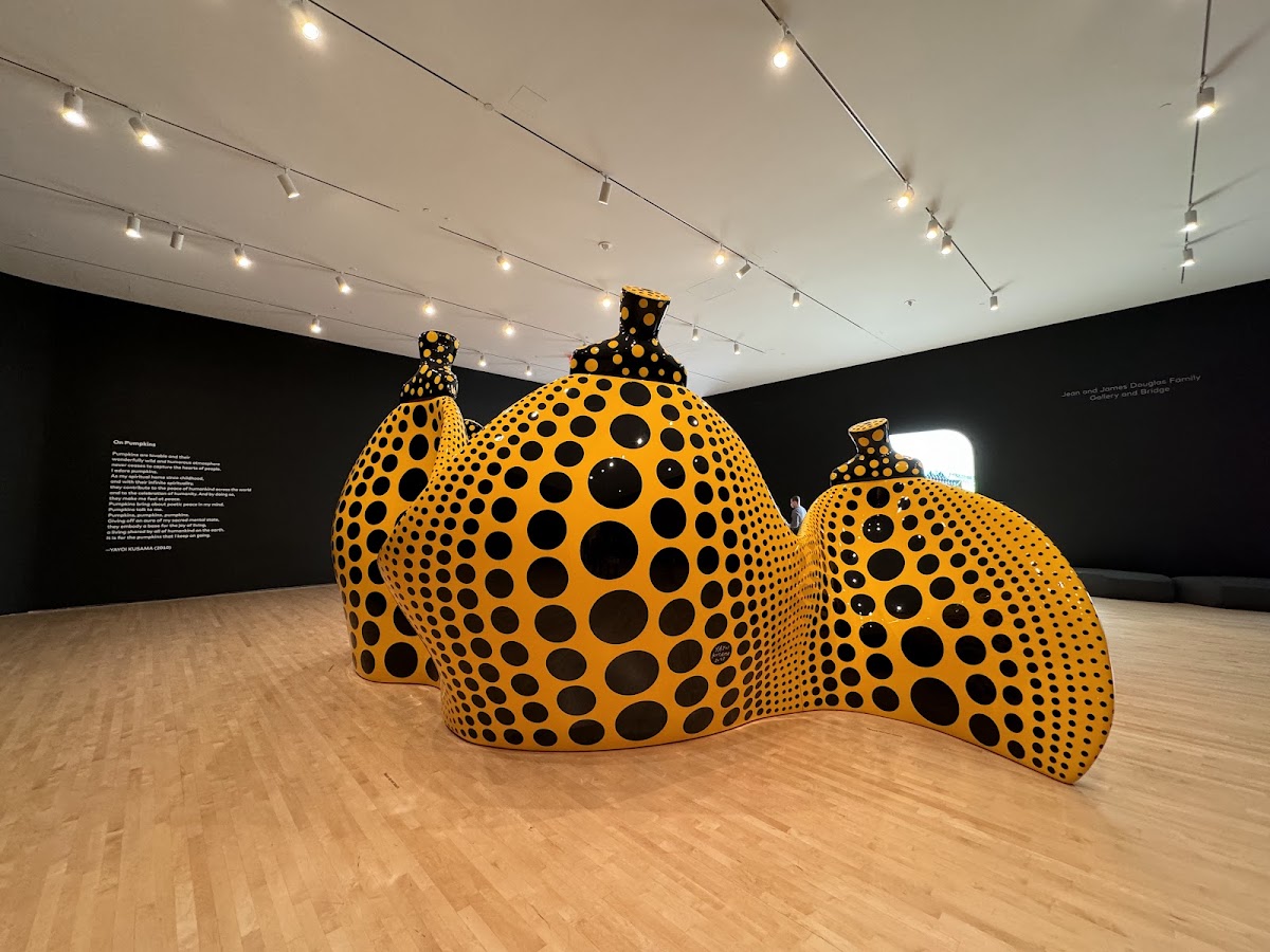 SFMOMA — photo 5