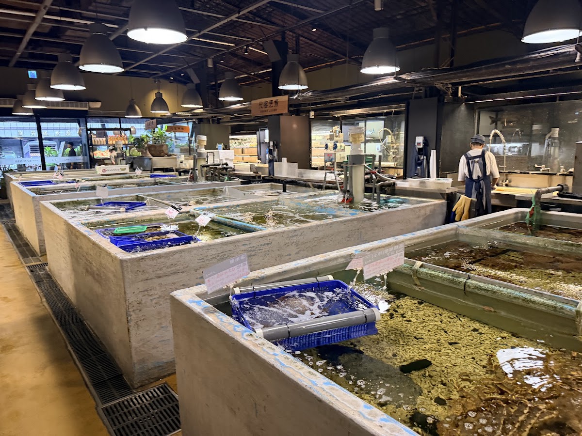 Addiction Aquatic Development — photo 2