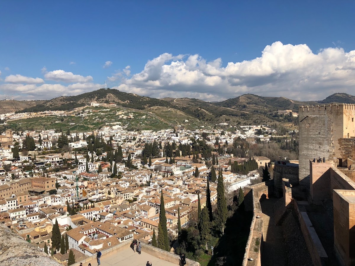 The Alhambra & Generalife — photo 5