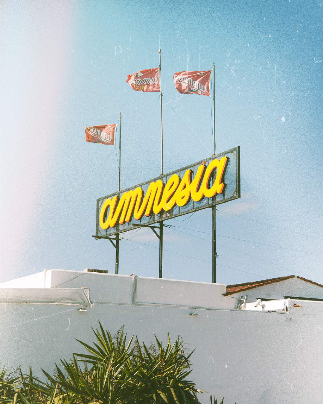 Amnesia, Ibiza