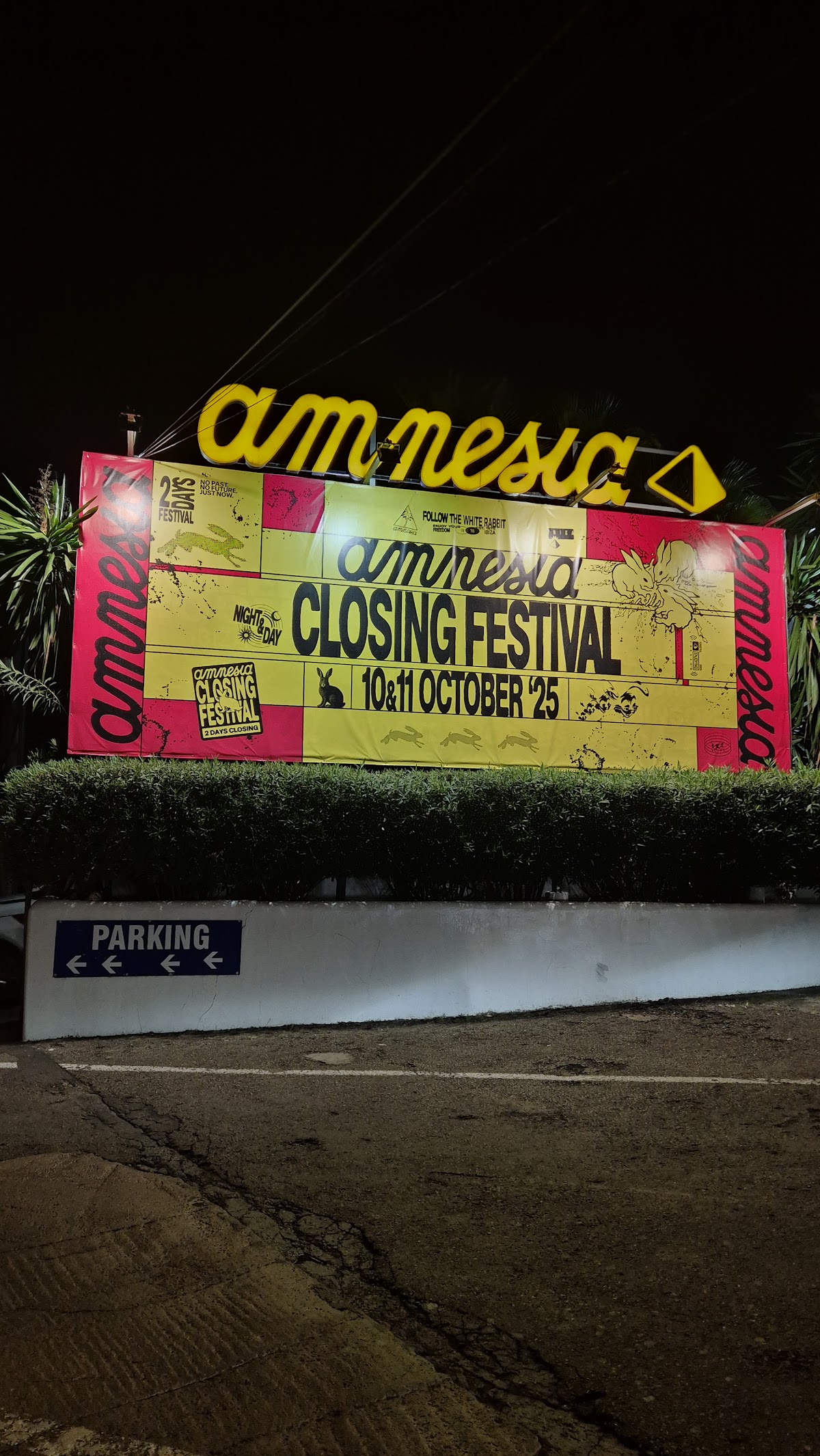 Amnesia — photo 4