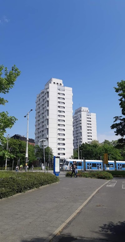 플라크 그룬발즈키