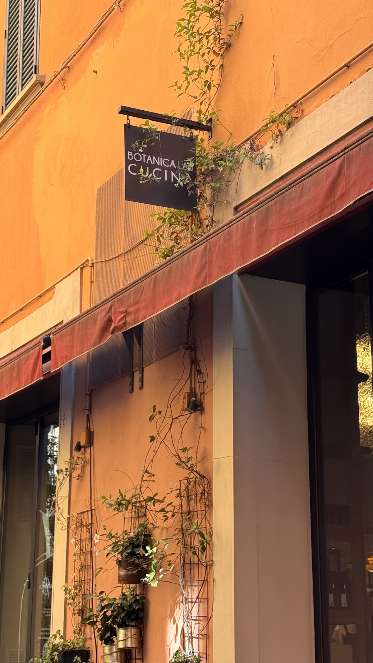 Botanica Lab — photo 4