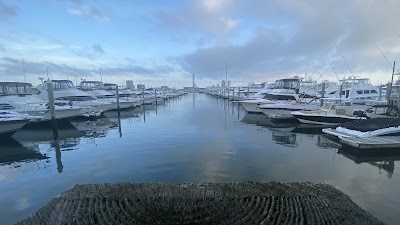 The Marina District