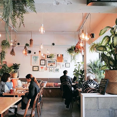 Plant Cafe Seoul