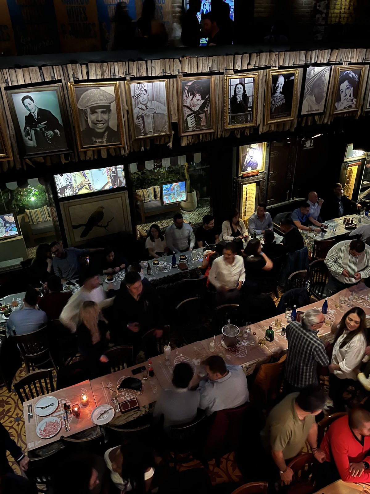 Gaira Café — photo 3