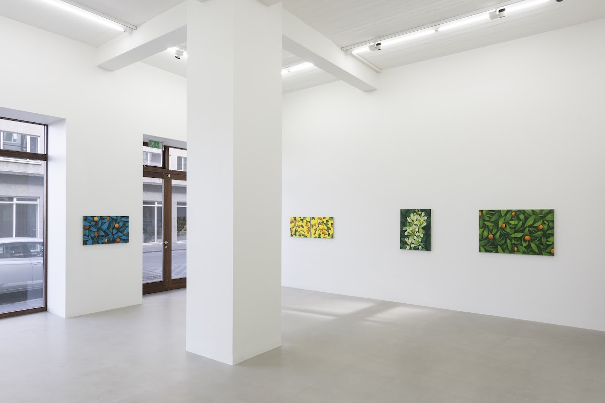 i8 Gallery — photo 2