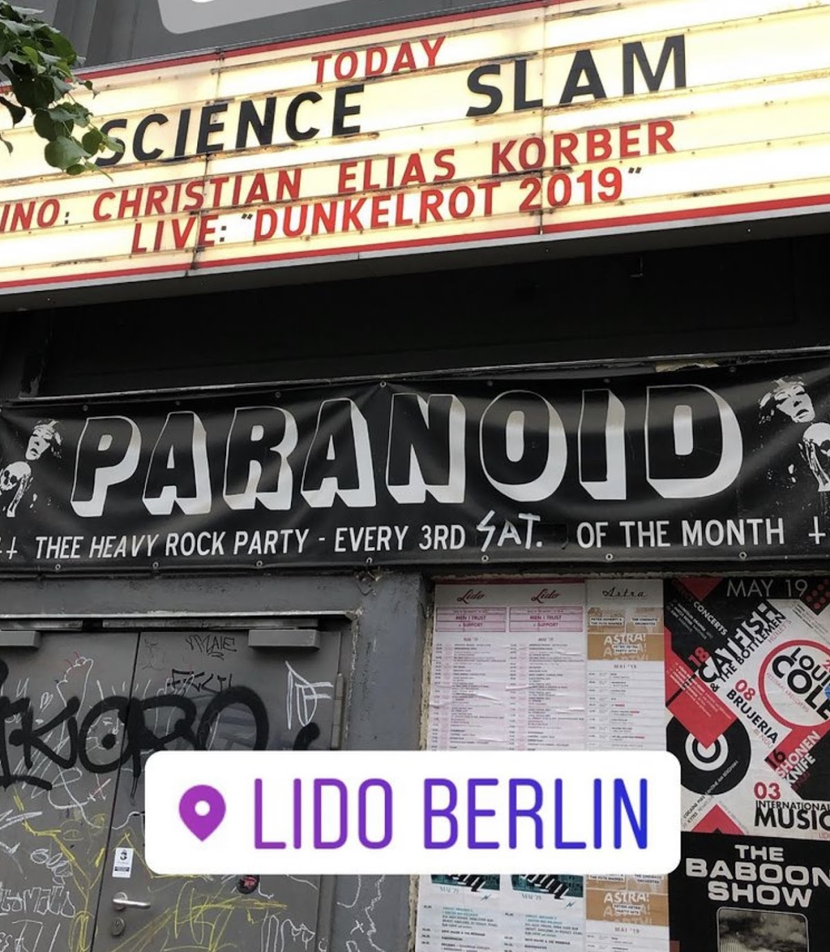 Lido — photo 4