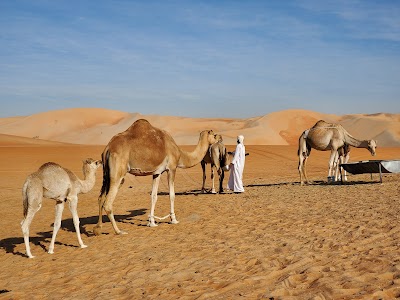 Liwa Oase