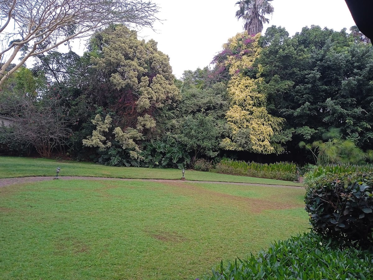 Lord Erroll — photo 4