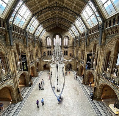 Museo de Historia Natural