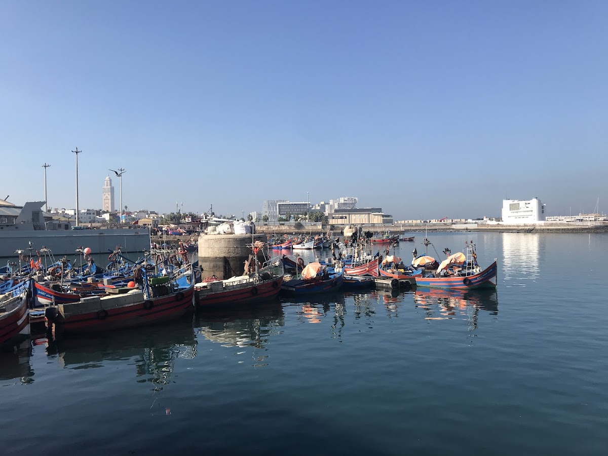 Port de Pêche, Casablanca