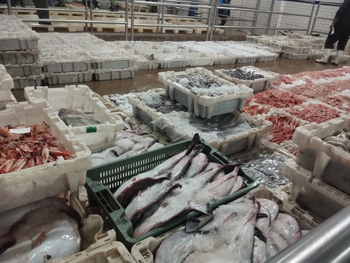 Port de Pêche — photo 3