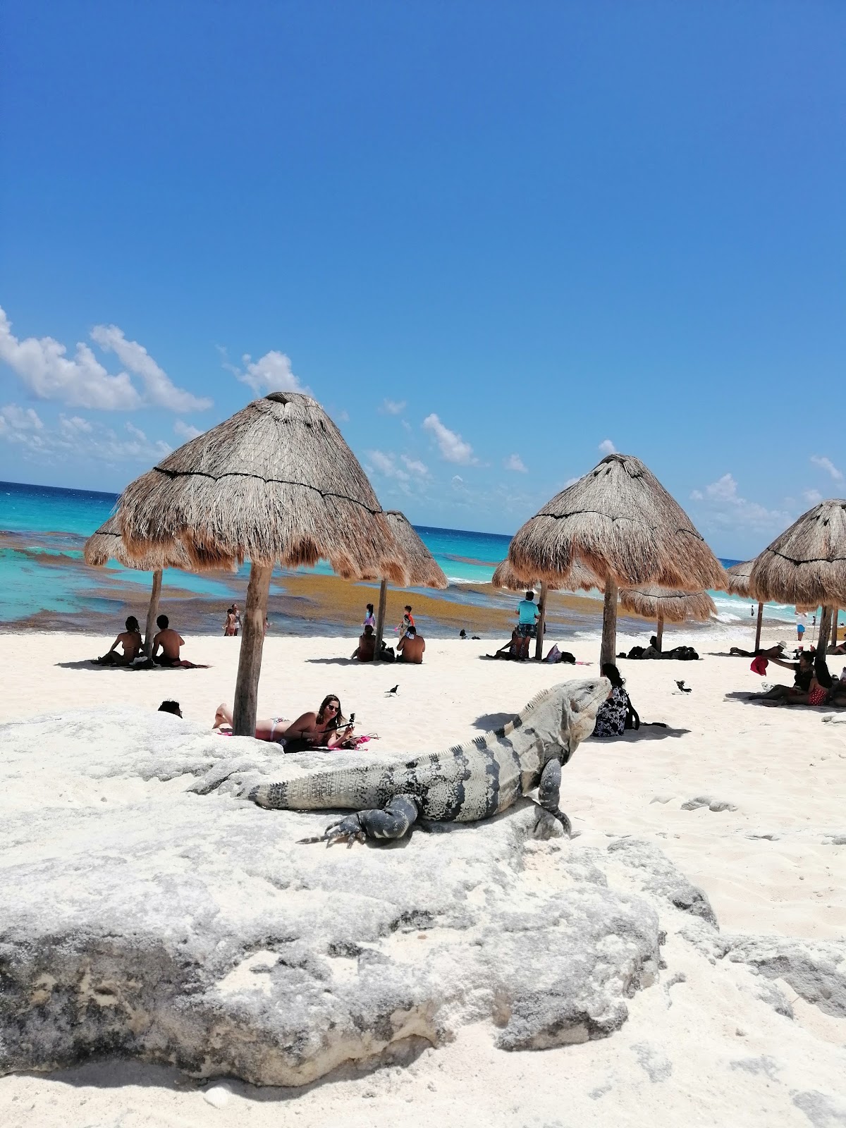 Playa Delfines — photo 2