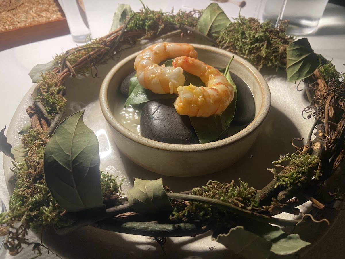 Teruar Urla — photo 3