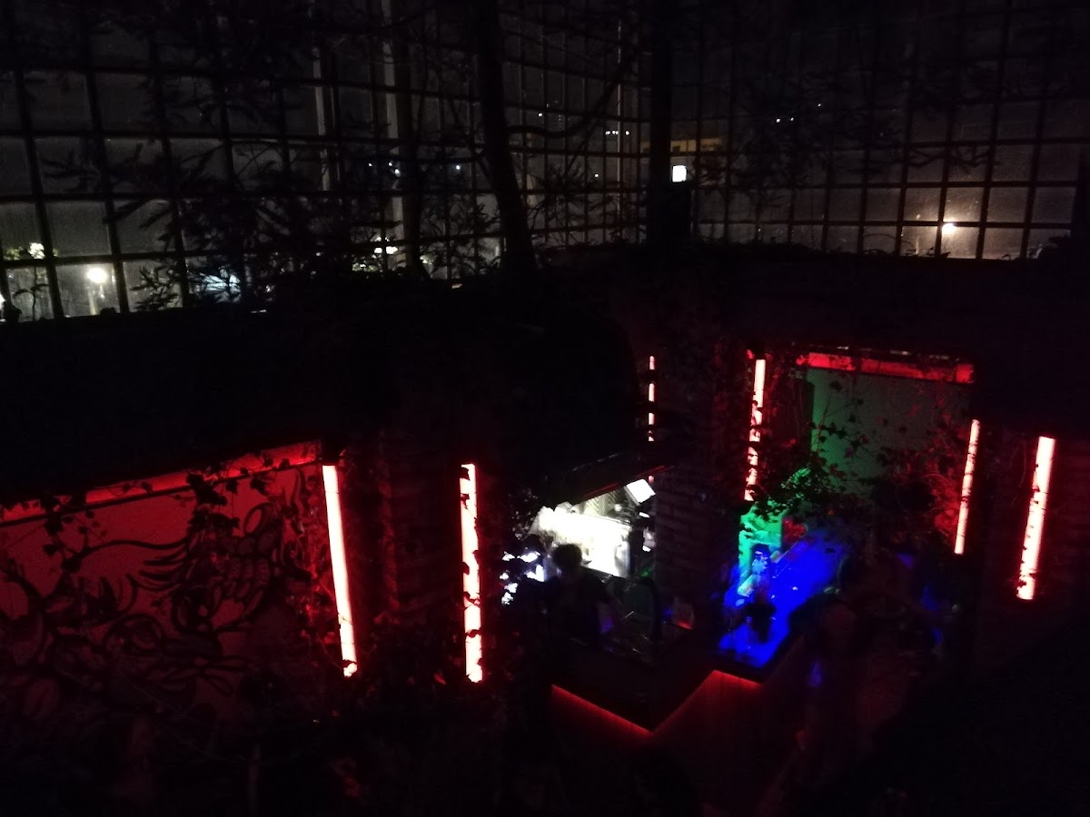 Video Club — photo 3